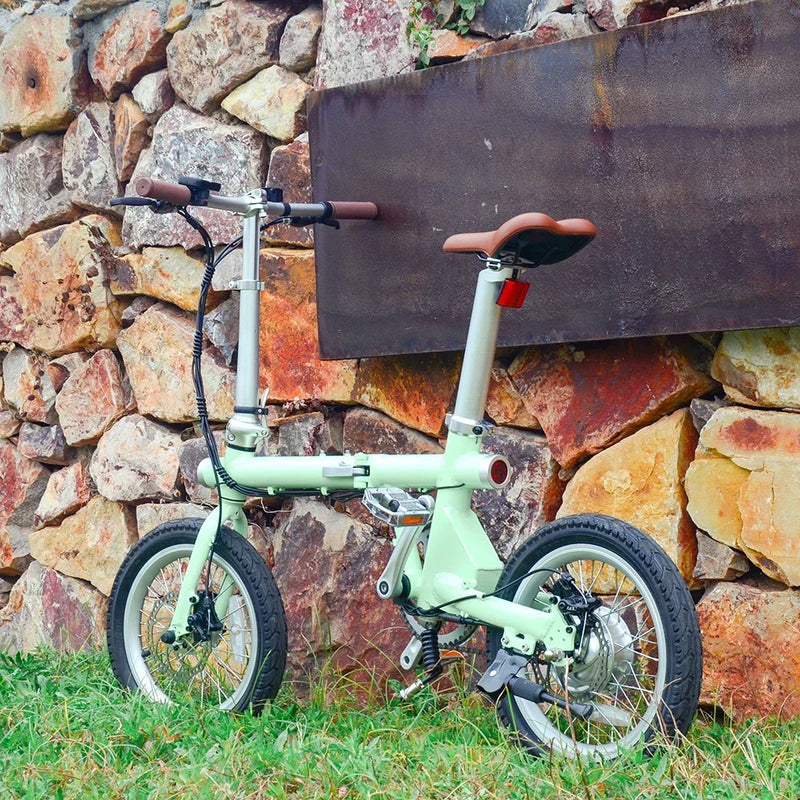 Bicicleta elétrica